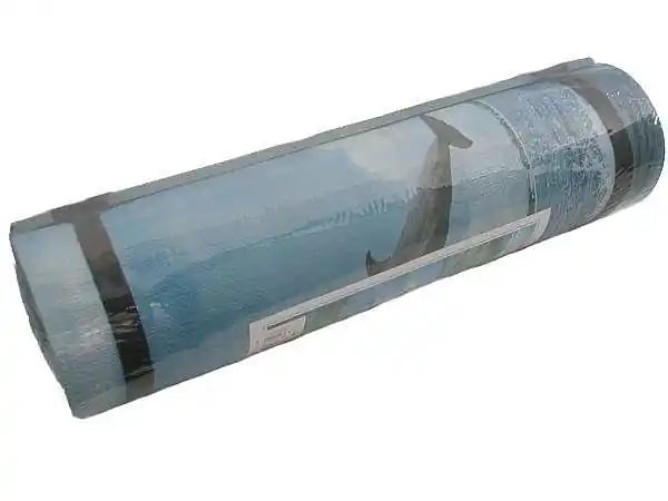 Super Cena Karimatka jednovrstvá RICHMORAL velikost 180 x 50 x 0,8 cm - modrá