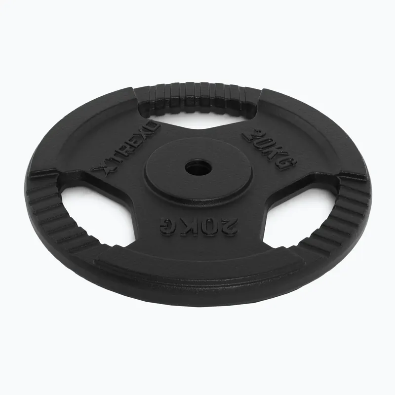Litinový kotouč XTREXO TRX-ICP020 20 kg chrom Aktuální