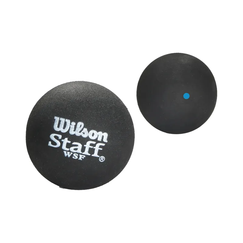 Ihned K Objednání Wilson Staff Squash 2 Ball Bl Dot black WRT617500+