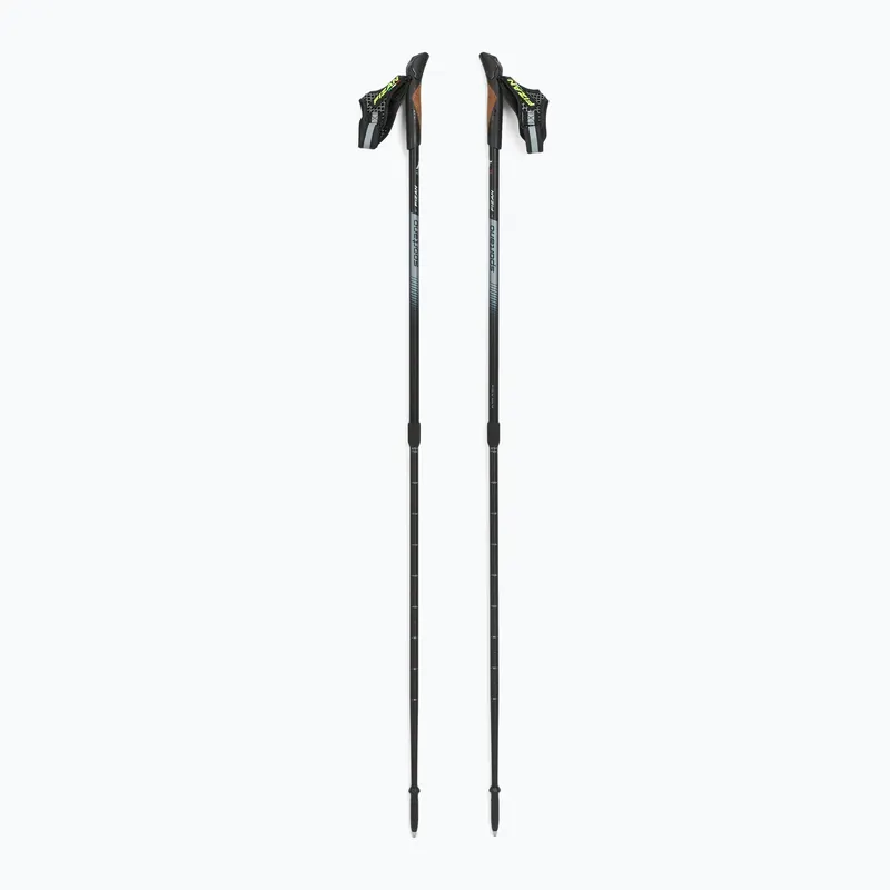 Tovární Cena Hole na nordic walking Fizan Smu Active black