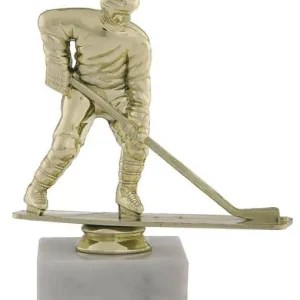 Cenový Hit trofej F119 hokej