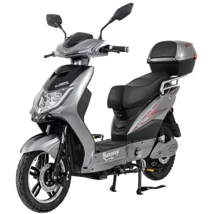Výprodej Elektroskútr RACCEWAY E-FICHTL, šedý-lesklý s baterií 12Ah