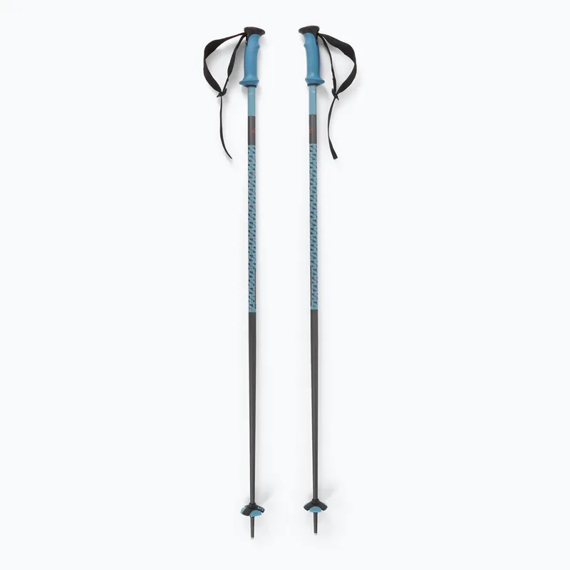 Lyžařské hole Salomon Polar Pro copen blue Nejlepší Volba