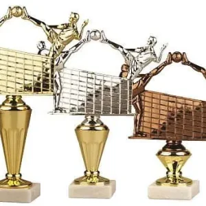 Časově Omezené trofej FP7 nohejbal