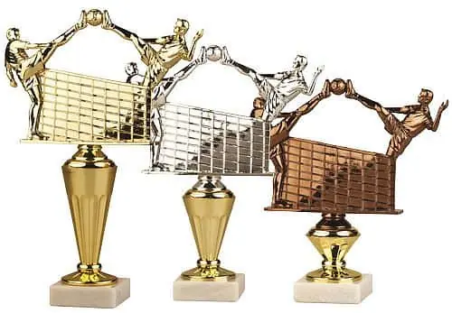 Časově Omezené trofej FP7 nohejbal