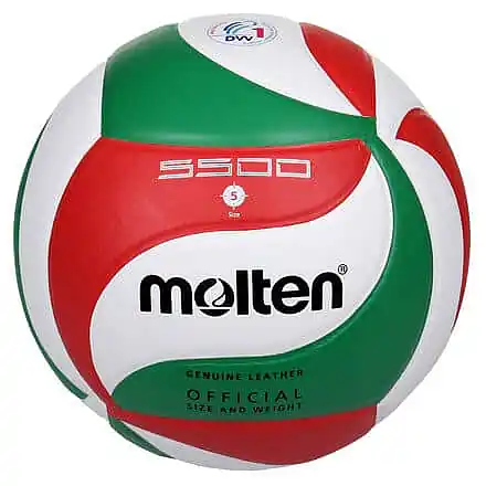 Rychlé Dodání V5M 5500 volejbalový míč