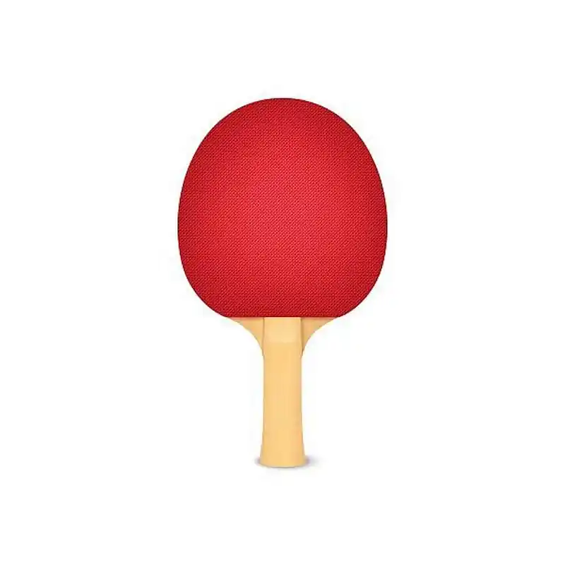 Pálka na stolní tenis BASIC 101 Časově Omezené
