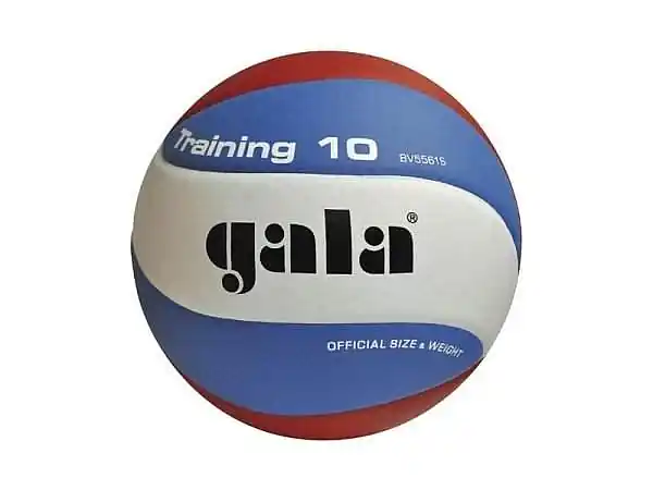 Přímo Od Výrobce Míč volejbal TRAINING BV5561S