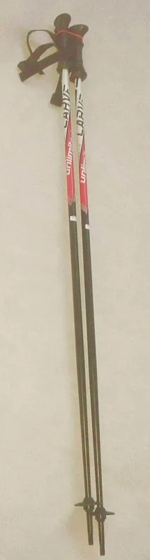Sjezdové hole CARVE TONY PRO - 110 cm Nová Kolekce