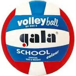 Míč volejbal SCHOOL COLOR 5311S Expresní Doručení