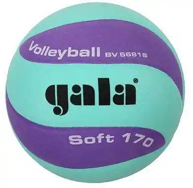 Vrácení Zdarma Míč volejbal SOFT GALA BV5681S 170g - fialová