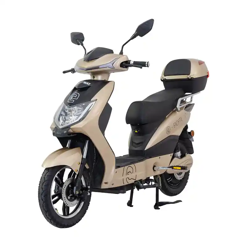 Hit Sezóny Elektroskútr RACCEWAY® E-FICHTL®, sv.zlatý-matný s baterií 20Ah