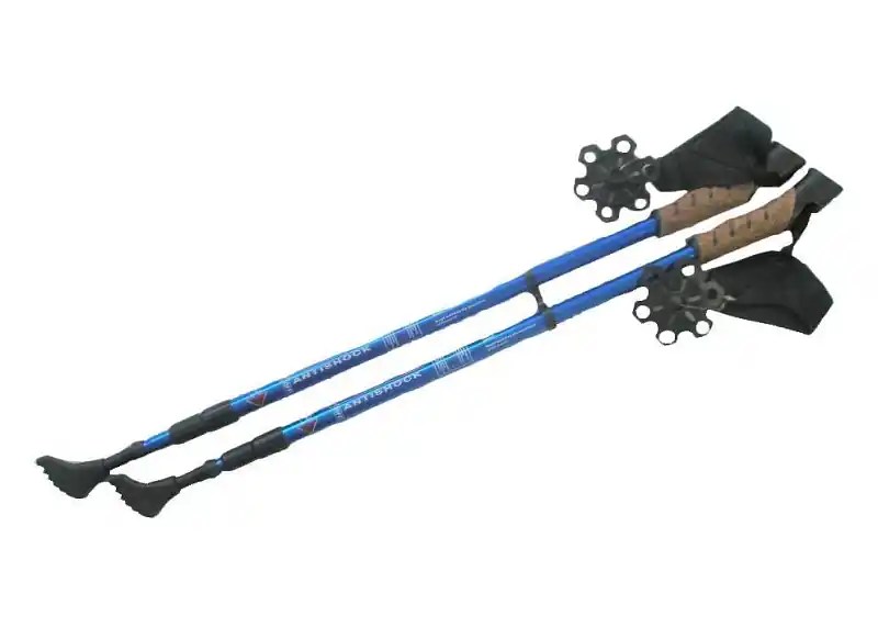Ihned K Objednání Trekové teleskopické hole NORDIC WALKING 70-135 modrá - modrá