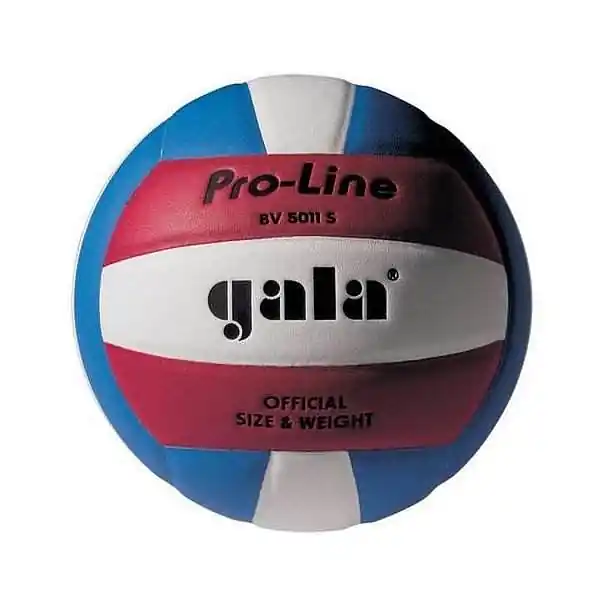 Míč volejbal PRO-LINE COLOR BV5011S Zlevněný
