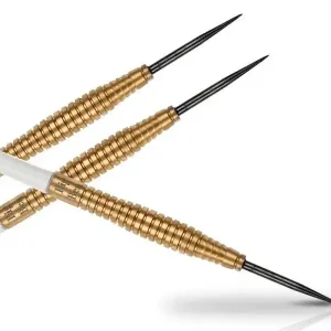 Šipky XQ MAX Steel Benito van de Pas - 21g - 21 Víkendová Akce