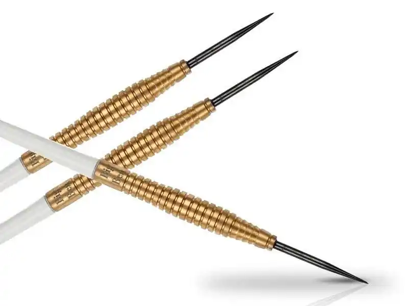 Šipky XQ MAX Steel Benito van de Pas - 21g - 21 Víkendová Akce