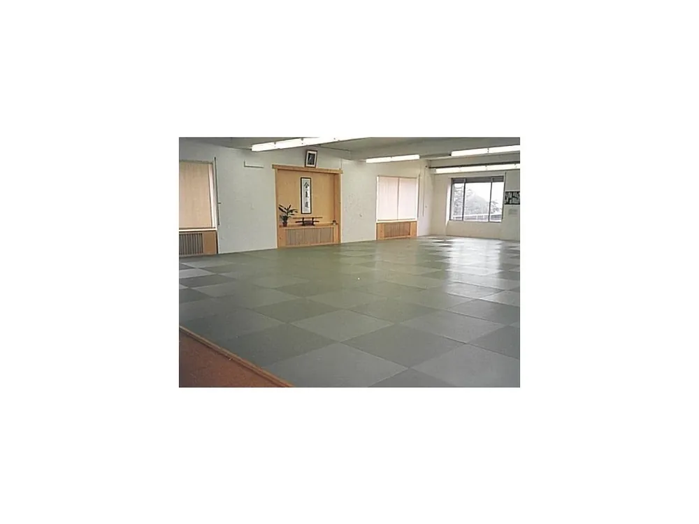 Sezónní Sleva Tatami 200x100x4cm RG 200