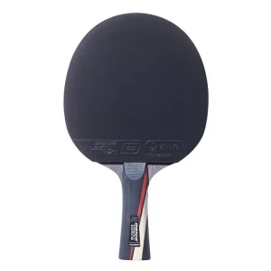 Akce Pálka na stolní tenis DONIC Zentra Next Carbon blade + Desto Next rubbers