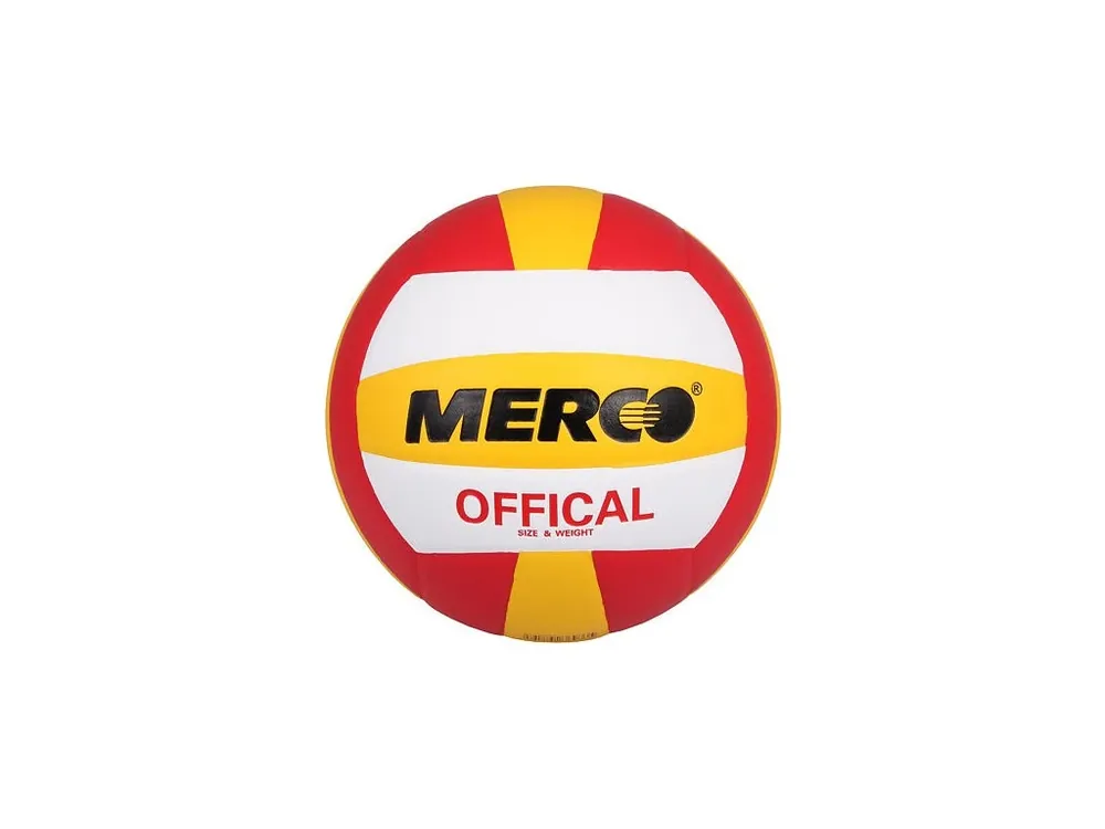 Expresní Doručení Official volejbalový míč