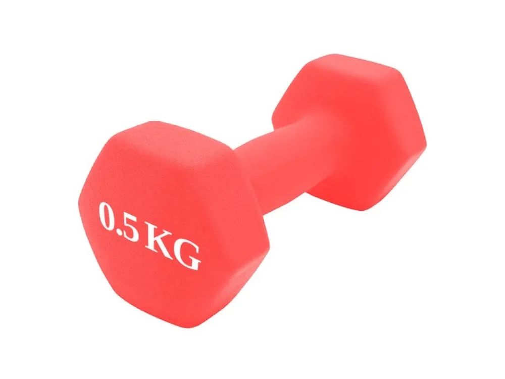 Činka litina NEOPREN 0,5 kg Tovární Cena