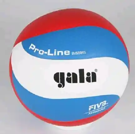 Volejbalový míč pro profesionály Official Profi 5591 S Expresní Doručení