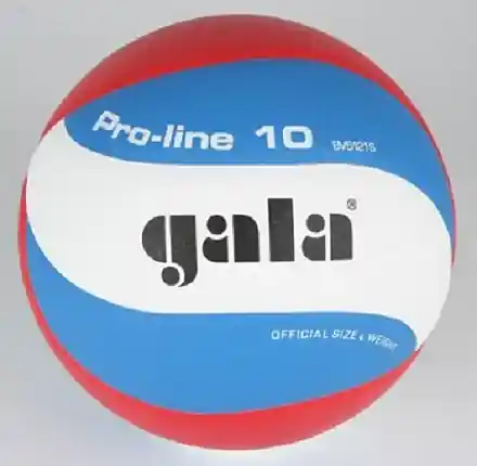 Volejbalový míč pro profesionály Pro Line 5121S Nejlepší Volba