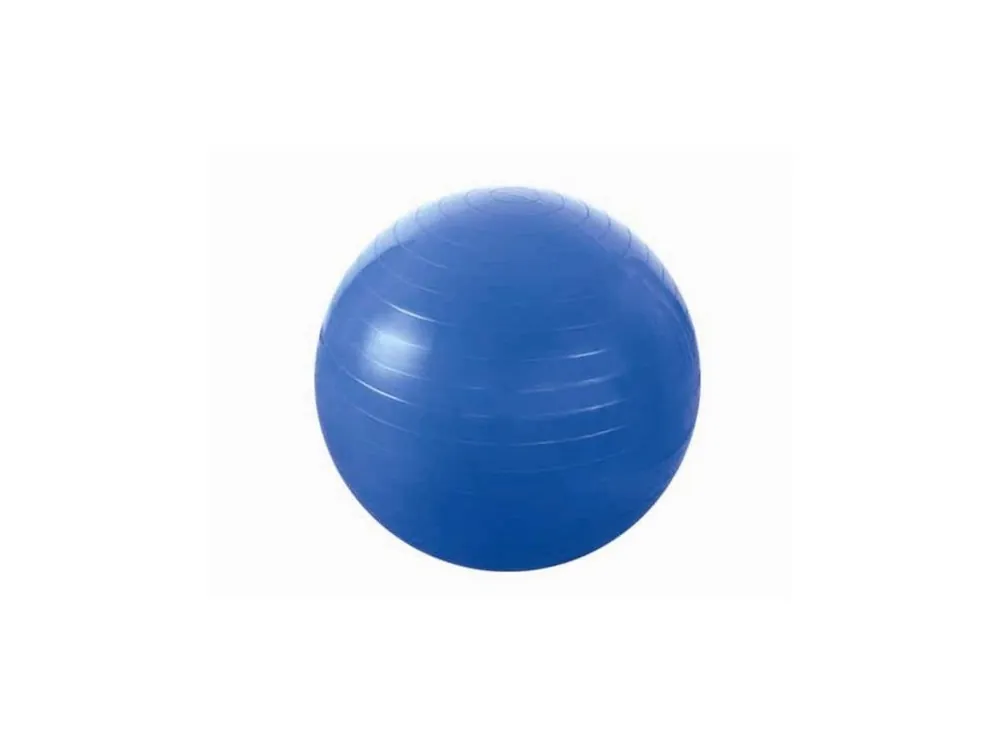 Gymnastický míč HMS YB01 55 cm, modrý Zlevněný