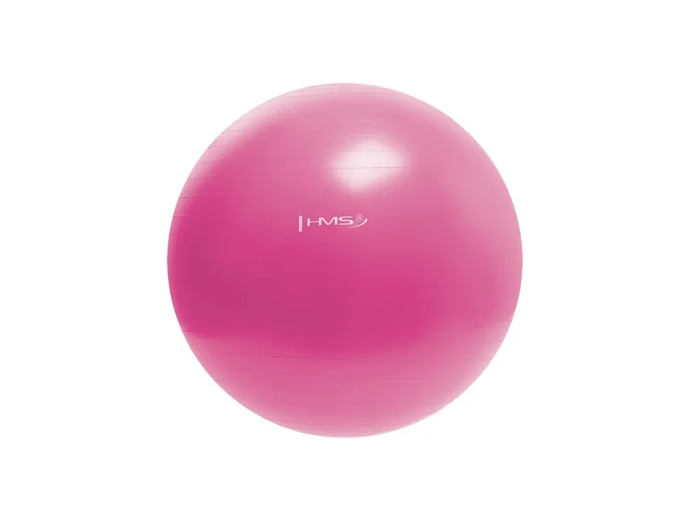 Gymnastický míč HMS YB01N 55 cm růžový Must-Have