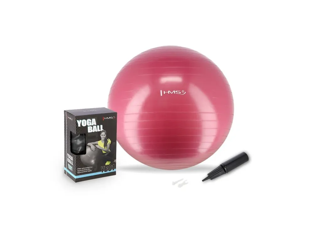 Gymnastický míč HMS YB01N 65 cm švestkový Aktuální