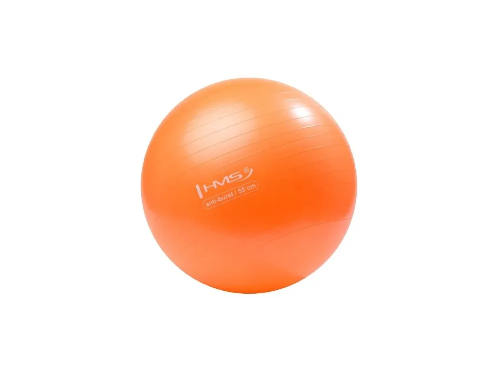 Gymnastický míč HMS YB02 55 cm oranžový Sleva