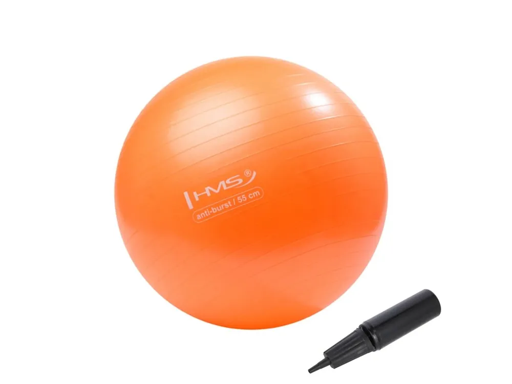 Ihned K Objednání Gymnastický míč HMS YB02N 55 cm oranžový