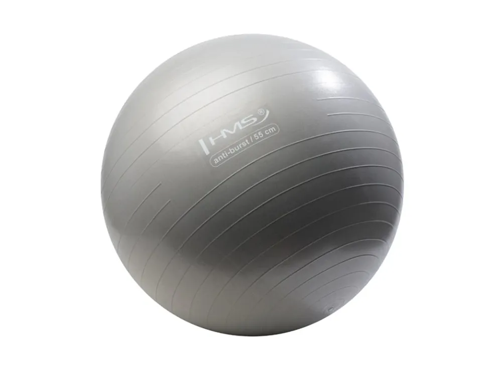 Gymnastický míč HMS YB02N 55 cm šedý Sleva