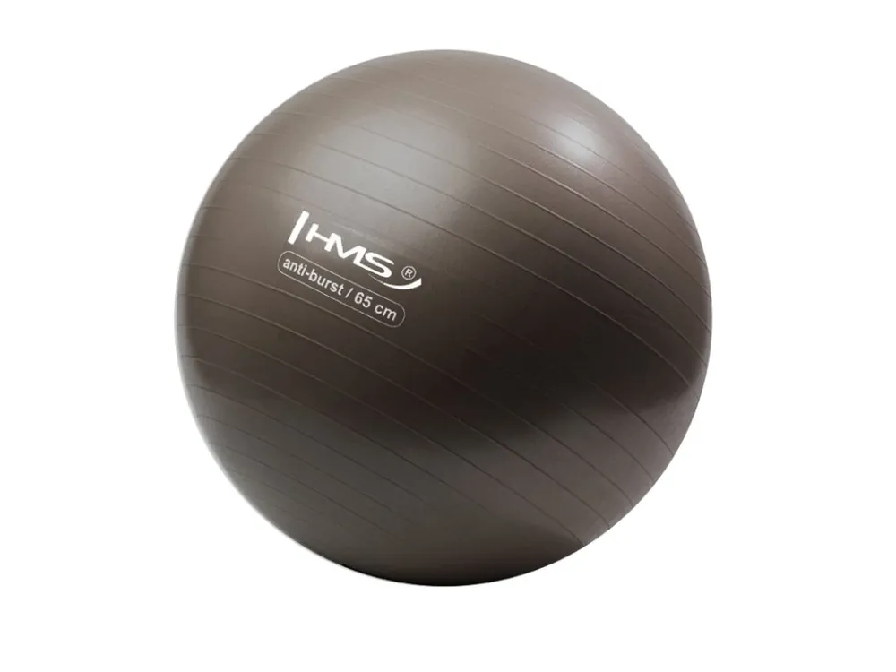 Nejlepší Volba Gymnastický míč HMS YB02N 65 cm bronzový