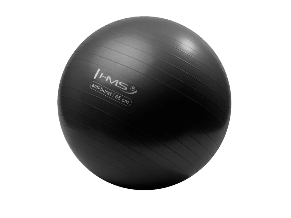 Gymnastický míč HMS YB02N 65 cm černý Cenový Hit