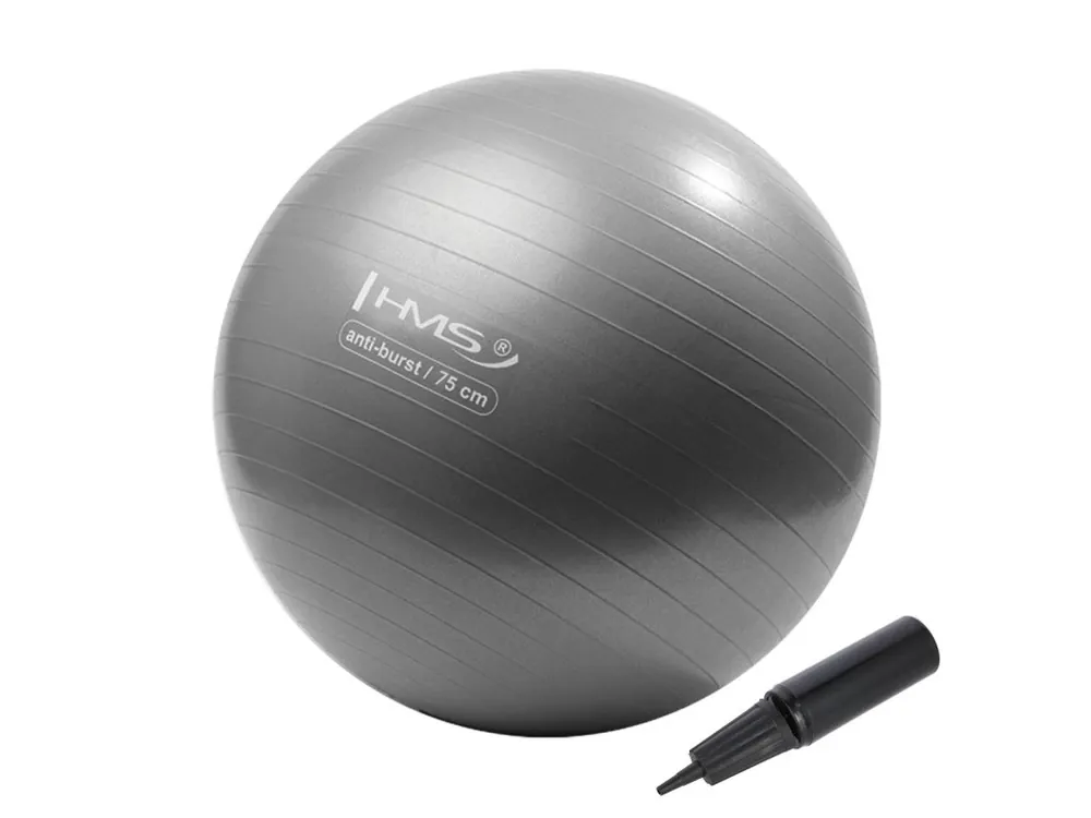 Nejlepší Volba Gymnastický míč HMS YB02N 75 cm šedo-stříbrný