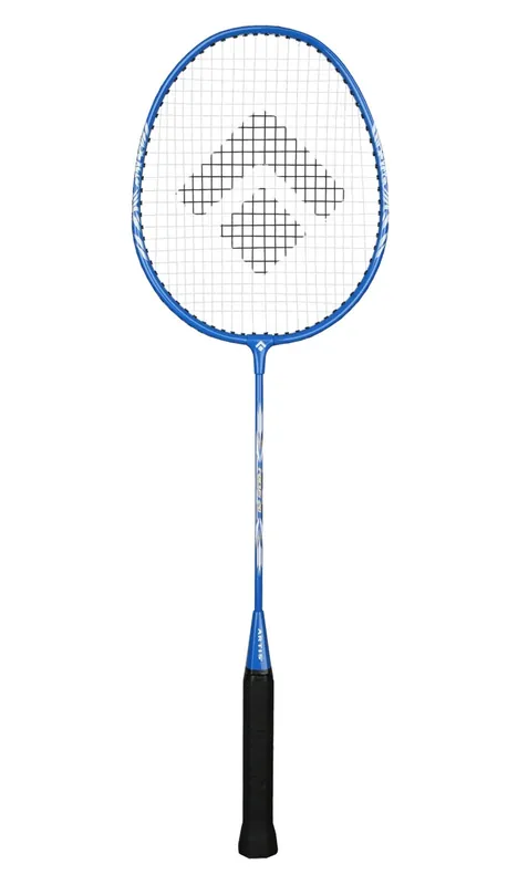 Odeslání Ihned Badminton raketa ARTIS Focus 20