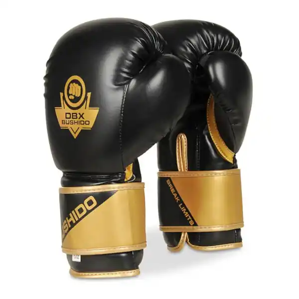 Zlevněný Boxerské rukavice DBX BUSHIDO B-2v10