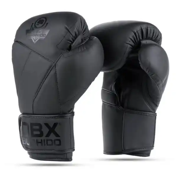 Sleva Boxerské rukavice DBX BUSHIDO B-2v15B