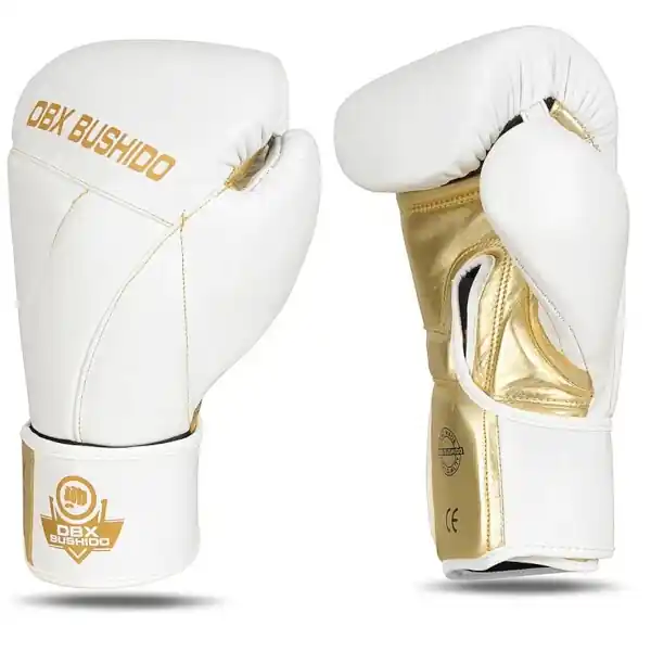 Kup Teď Boxerské rukavice DBX BUSHIDO B-2v19