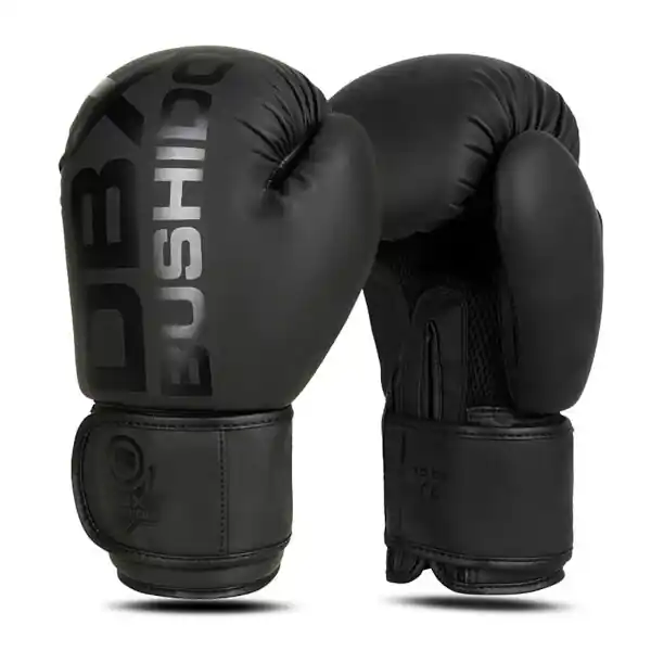 Aktuální Boxerské rukavice DBX BUSHIDO B-2v21