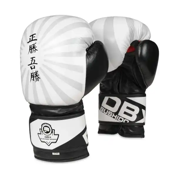 Boxerské rukavice DBX BUSHIDO B-2v8 Vysoce Kvalitní