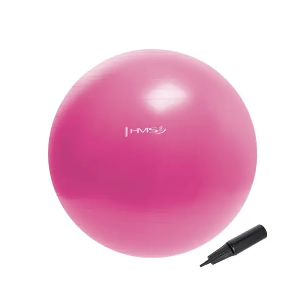 Gymnastický míč HMS YB01N 55 cm růžový Speciální Cena