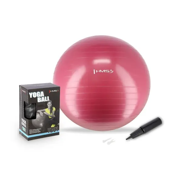 Gymnastický míč HMS YB01N 65 cm švestkový Levný