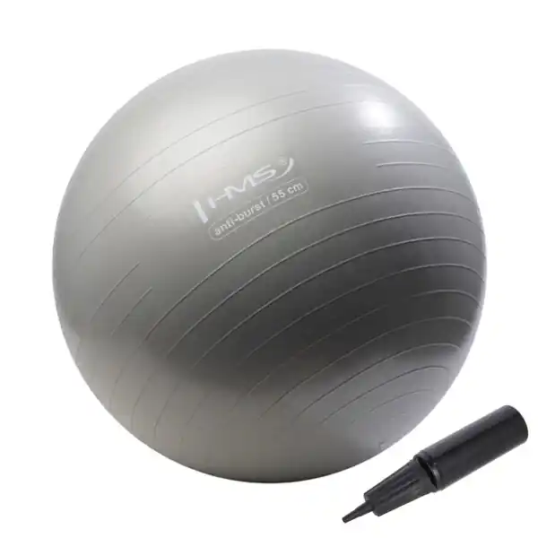 Vysoce Kvalitní Gymnastický míč HMS YB02N 55 cm šedý