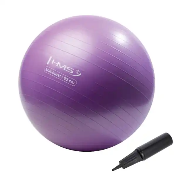 Gymnastický míč HMS YB02N 65 cm fialový Levný