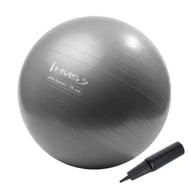 Must-Have Gymnastický míč HMS YB02N 75 cm šedo-stříbrný