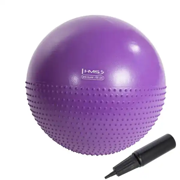 Masážní gymnastický míč HMS YB03N 55 cm fialový Víkendová Akce