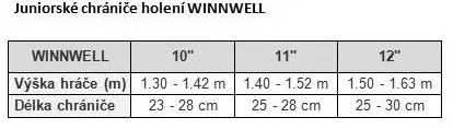 Akční Nabídka Hokejové holeně Winnwell AMP700 JR