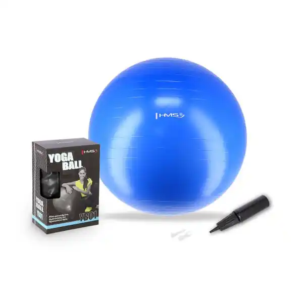 Gymnastický míč HMS YB01N 55 cm modrý Top Prodej